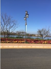 云南古滇王国旅游景区用花