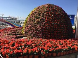 2015年昆明旅交会