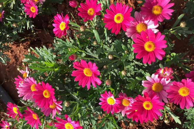 呈贡新区大渔婚庆文化博览园