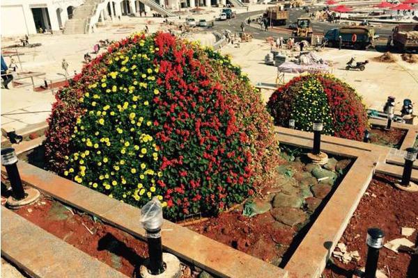 公司承接的南博会主场馆花卉绿化工程