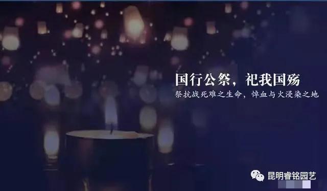 铭记历史，勿忘国耻