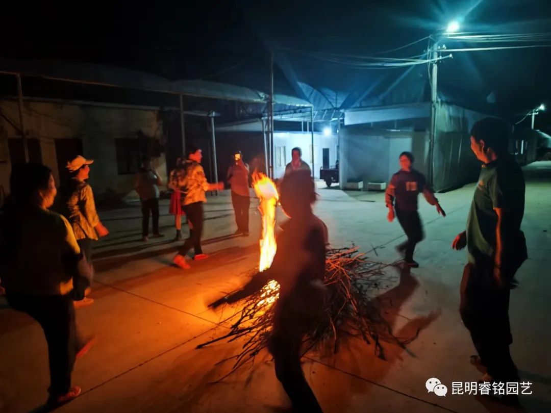 昆阳员工欢度火把节